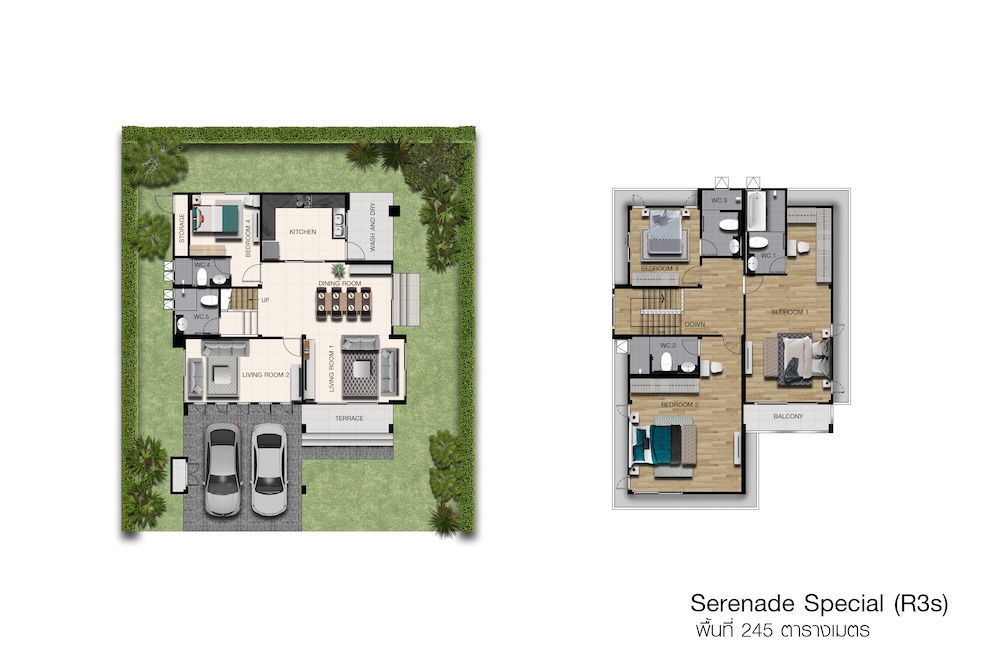 SERENADE R3 SPECIAL.jpg (136 KB)